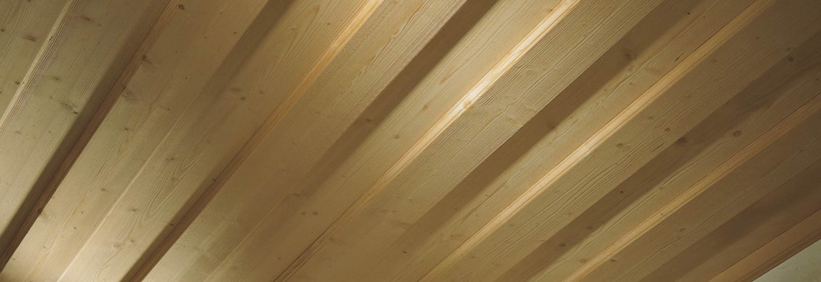 Burgdecke
